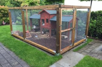 Meerschweinchen Außengehege