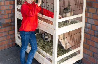 Meerschweinchen Stall Holz