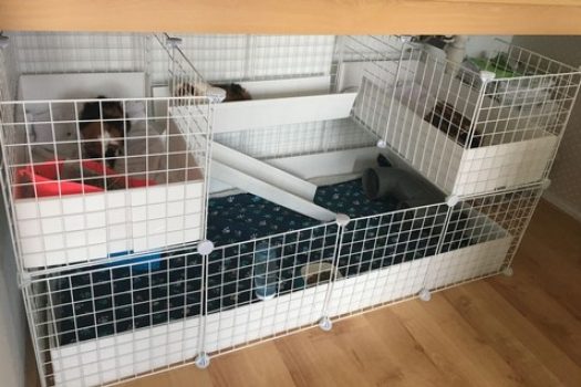 Meerschweinchenkäfig 2 Etagen