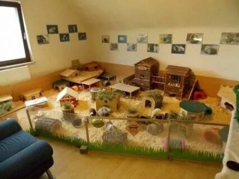 Meerschweinchenkäfig-Innen-03