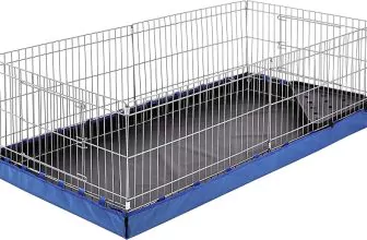 Amazon Basics Meerschwein Käfig